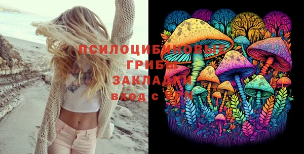 ALPHA PVP Кодинск