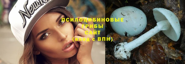 ALPHA PVP Кодинск
