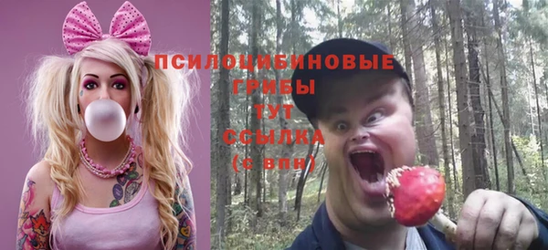 спайс Козельск